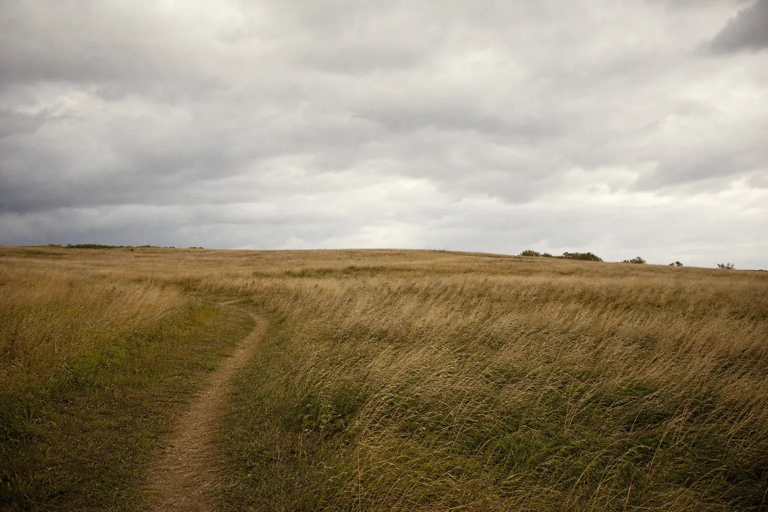 A narrow footpath curves through long brown field grass below an overcast sky.